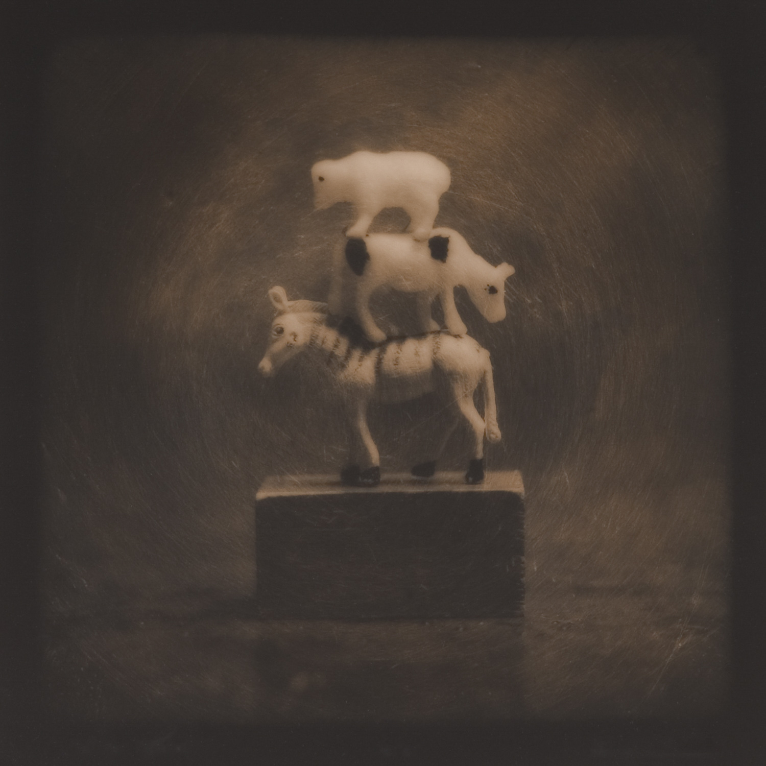 from the series Tales